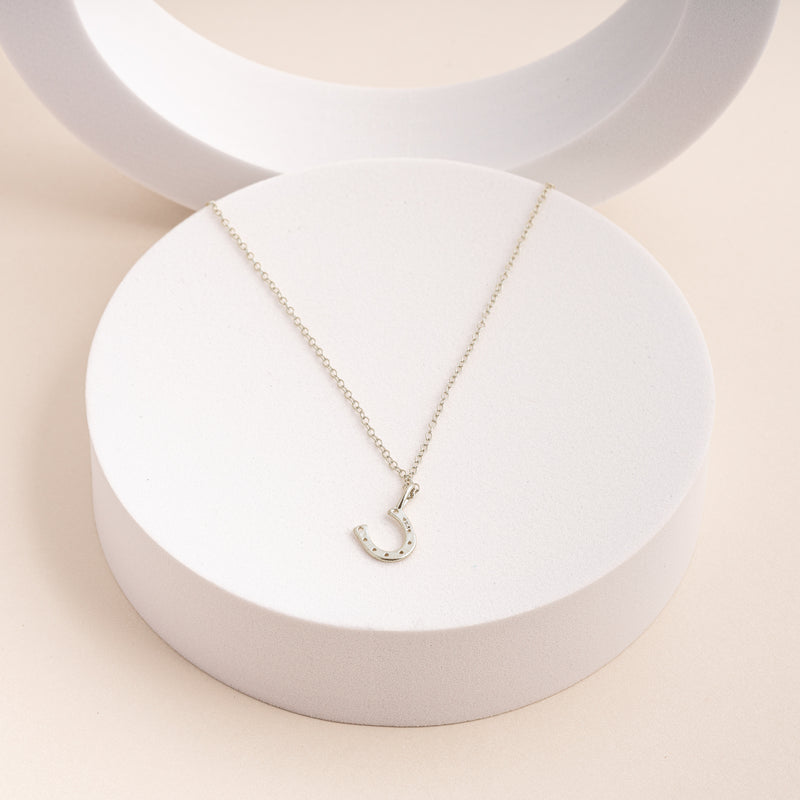 Silver Good Luck Horseshoe Necklace